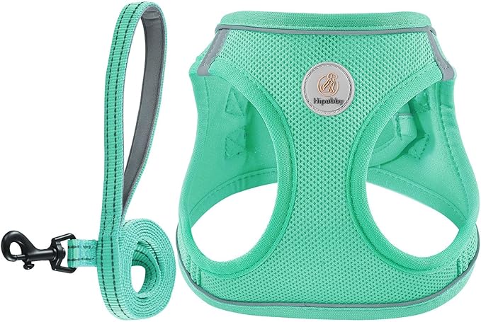 Dog Harness and Leash Set, No Pull Soft Mesh Puppy Harness for Small Medium Dogs, Cats - Step in Reflective Breathable Lightweight Vest Harness for Walking, Training - Green, XS