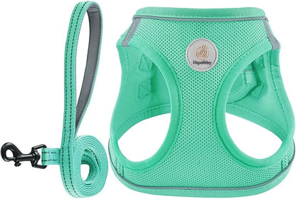Dog Harness and Leash Set, No Pull Soft Mesh Puppy Harness for Small Medium Dogs, Cats - Step in Reflective Breathable Lightweight Vest Harness for Walking, Training - Green, S