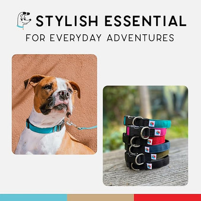 Dog Collar, Lightweight, Heavy Duty Dog Collar with Buckle, Fabric Pet Collar, Breathable & Adjustable Puppy Collar, Dog Collar for Large Dogs (Turquoise, Large - 14-24 Inch) - Wildebeest