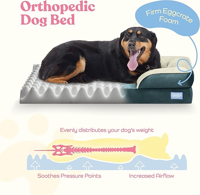 Orthopedic Sofa Dog Bed - Ultra Comfortable Dog Bed for Large Dogs - Breathable & Waterproof Pet Bed- Egg Foam Sofa Bed with Extra Head and Neck Support - (XX-Large, Blue & White)