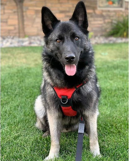 rabbitgoo Dog Harness, No-Pull Pet Harness with 2 Leash Clips, Adjustable Soft Padded Dog Vest, Reflective No-Choke Pet Oxford Vest with Easy Control Handle for Large Dogs, Red, L