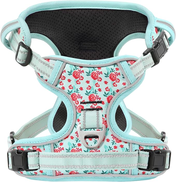 Timos Dog Harness, 3 Snap Buckles No-Pull Soft Padded Dog Vest with 2 Metal Leash Clips,Adjustable Reflective No Choke Pet Harness with Easy Control Handle for Small Dogs,Cyan,S