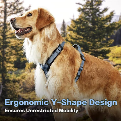 PawsPassion Dog Harness for X-Large Dogs, No Pull Dog Harness Easy Walk with Metal Hardware, Ergonomic Y-Shaped Design, Soft Padding, Padded Handle, Durable High-Tensile Nylon (Horizon, XL)