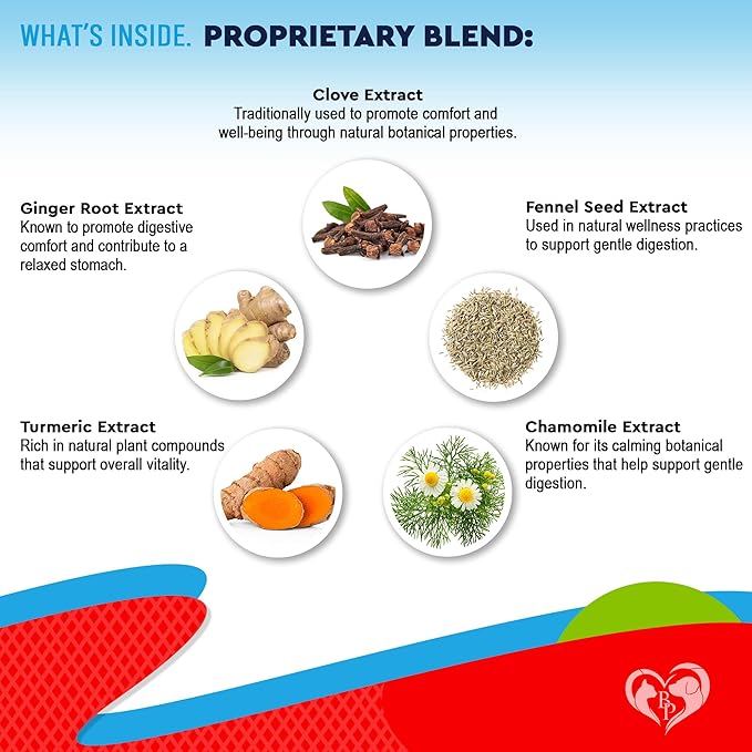 Natural Intestinal Defense for Dogs & Cats – Herbal Cleanse with Wormwood, Black Walnut – Promotes Healthy Gut & Flora Balance – Advanced Broad Spectrum Formula