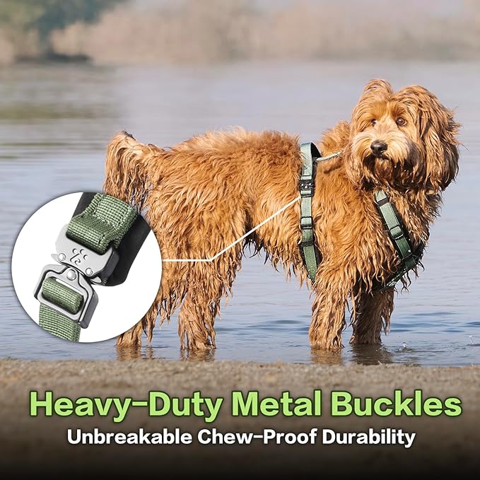 PawsPassion Dog Harness for Medium Dogs, No Pull Dog Harness Easy Walk with Metal Hardware, Ergonomic Y-Shaped Design, Soft Padding, Padded Handle, Durable High-Tensile Nylon (Evergreen, M)