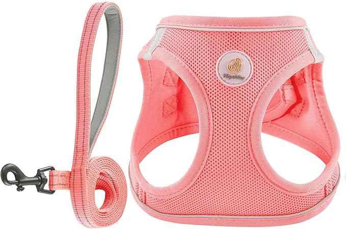 Dog Harness and Leash Set, No Pull Soft Mesh Puppy Harness for Small Medium Dogs, Cats - Step in Reflective Breathable Lightweight Vest Harness for Walking, Training - Pink, M