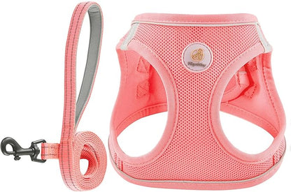 Dog Harness and Leash Set, No Pull Soft Mesh Puppy Harness for Small Medium Dogs, Cats - Step in Reflective Breathable Lightweight Vest Harness for Walking, Training - Pink, M