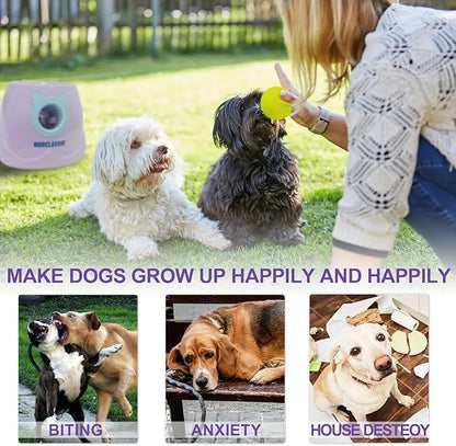 BESTHLS Automatic Dog Ball Launcher Interactive Tennis Ball Thrower Machine for Small Medium Dogs Fetching Distance 10-30ft (Purple)