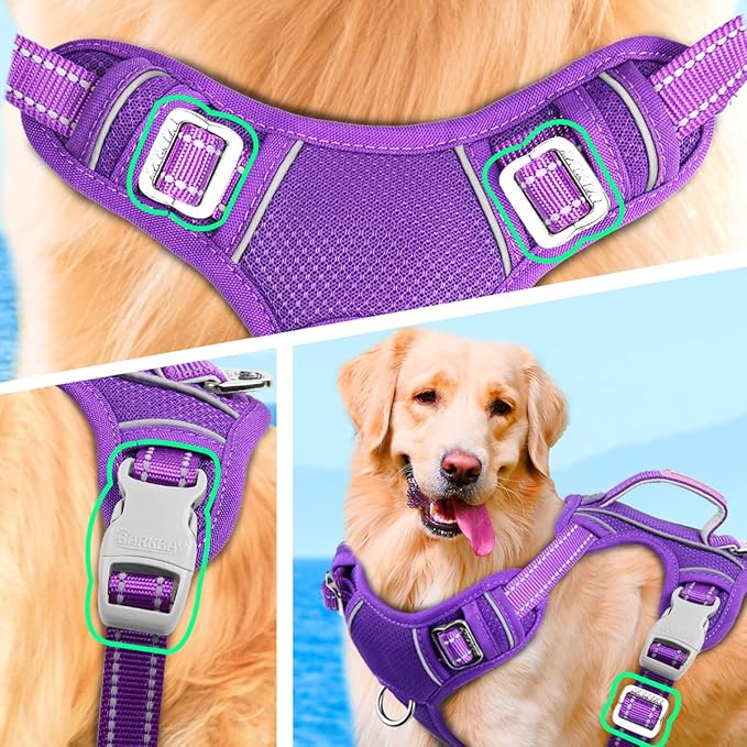 BARKBAY No Pull Dog Harness Large Reflective Dog Harness with Front Clip and Easy Control Handle for Walking Training Running with ID tag Pocket(Purple,L)