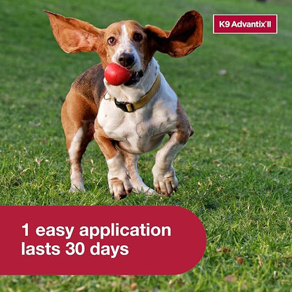 K9 Advantix II Medium Dog Vet-Recommended Flea, Tick & Mosquito Treatment & Prevention | Dogs 11-20 lbs. | 2-Mo Supply