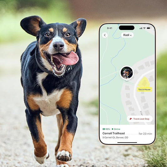 New Fi Series 3+ Smart Dog Tracker Collar – AI GPS for Dogs, Health & Behavior Monitor, Virtual Fence, Escape Alerts, Waterproof, Apple Watch Compatible [12Mo Membership Included] (Blue, Large)