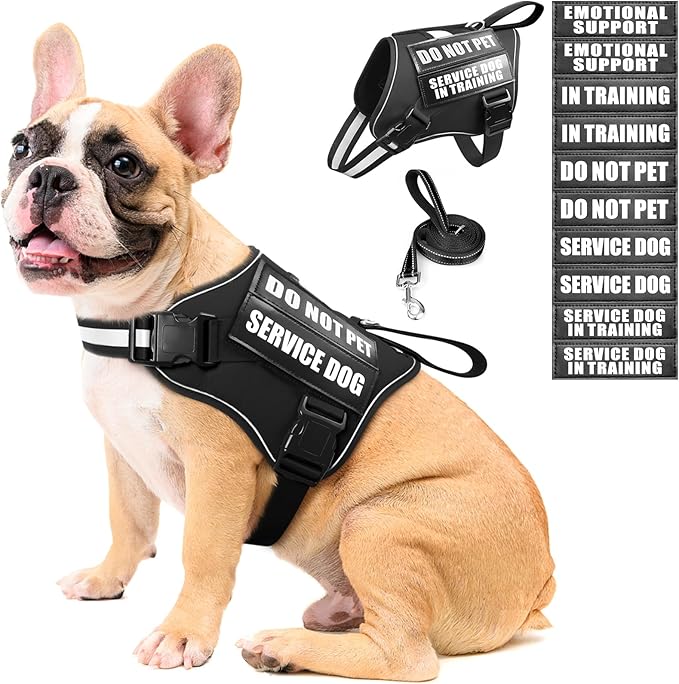 Service Dog Vest Harness and Leash Set+10 Patches,No Pull&Easy Walk Reflective Dog Harness with Soft Padded Handle for Training/Everyday,Fit Small/Medium/Large/Extra-Large Dogs(Black M)