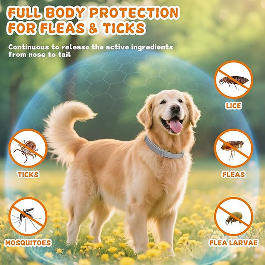 4 Pack Effective Flea Collar for Dogs, 25" Adjustable Natural Pet Flea and Tick Prevention Collars for Large Medium Small Dogs, Waterproof Fleas Ticks Collar for Puppies, 32 Months Protection, Gray