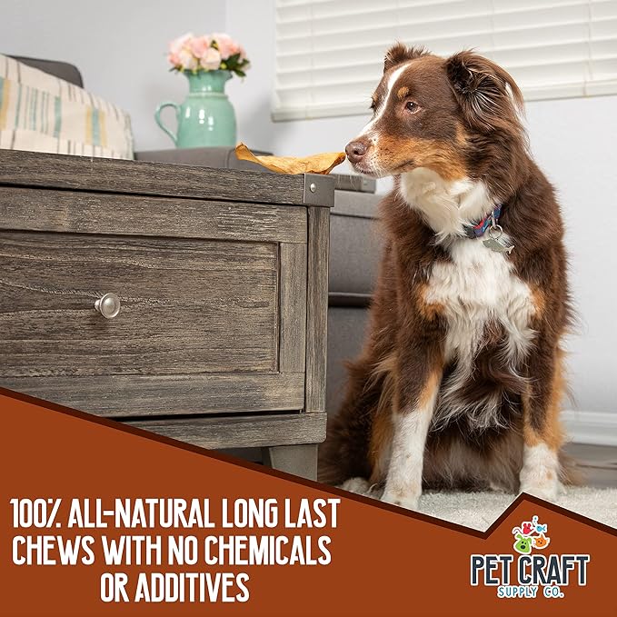 Pet Craft Supply Pure Natural Grass Fed Grain Free Water Buffalo Variety Pack of 11 Durable Tough Dog Chew for Aggressive Chewers and Puppies, Black