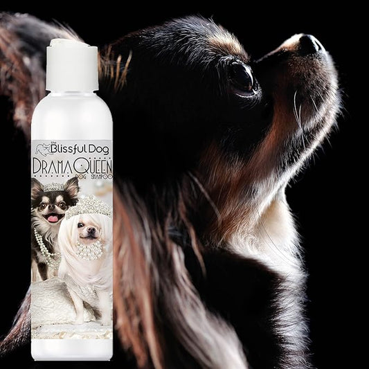 The Blissful Dog Chihuahua Drama Queen Dog Shampoo, 8 oz.