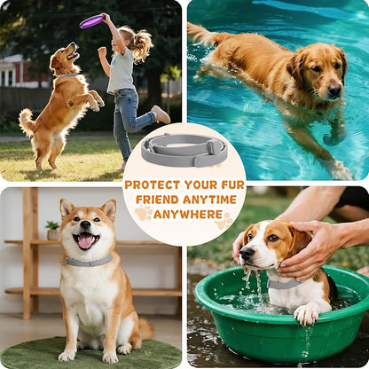 4 Pack Effective Flea Collar for Dogs, 25" Adjustable Natural Pet Flea and Tick Prevention Collars for Large Medium Small Dogs, Waterproof Fleas Ticks Collar for Puppies, 32 Months Protection, Gray
