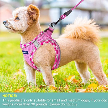 haapaw Dog Harness with Leash Set, No Pull Adjustable Reflective Step-in Puppy Harness with Thickened Padded Vest for Extra-Small/Small Medium Dogs