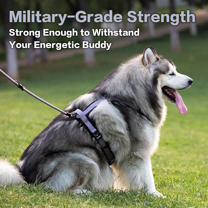 PawsPassion Dog Harness for Small Dogs, No Pull Dog Harness Easy Walk with Metal Hardware, Ergonomic Y-Shaped Design, Soft Padding, Padded Handle, Durable High-Tensile Nylon (Lilac Breeze, S)