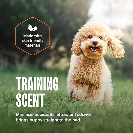 Puppy Pads Pet Pee Pads 22" x 22" [300-Count] Pet Training Disposable Pads, Compact Breed Pad, Leak-Proof, Bulk Case Pack - for Dachshunds, Shih Tzus, Pomeranians, Heavy Duty Surface Protector