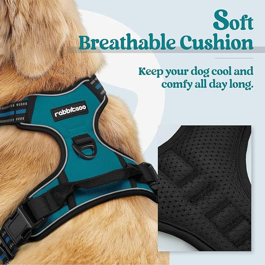 rabbitgoo Dog Harness No Pull with 2 Leash Clips, Adjustable Soft Padded, Reflective Oxford No Choke Pet Vest with Easy Control Handle for Large Dogs, Blue Coral, XL