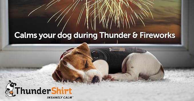 ThunderShirt for Dogs, XX Large, Platinum Sport - Dog Anxiety Relief Calming Vest