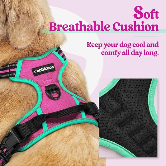 rabbitgoo Dog Harness No Pull with 2 Leash Clips, Adjustable Soft Padded, Reflective Oxford No Choke Pet Vest with Easy Control Handle for Large Dogs, Hot Pink & Turquoise, S