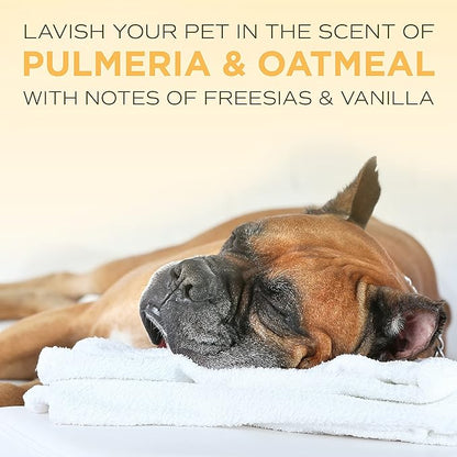 TropiClean SPA Lavish Dog Conditioner | Nourishing Conditioner For Dogs | Naturally Derived Salon Grade Ingredients | Made in the USA | 1 Gallon