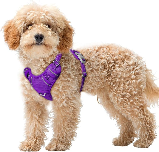 BARKBAY No Pull Dog Harness Large Reflective Dog Harness with Front Clip and Easy Control Handle for Walking Training Running with ID tag Pocket(Purple,XS)