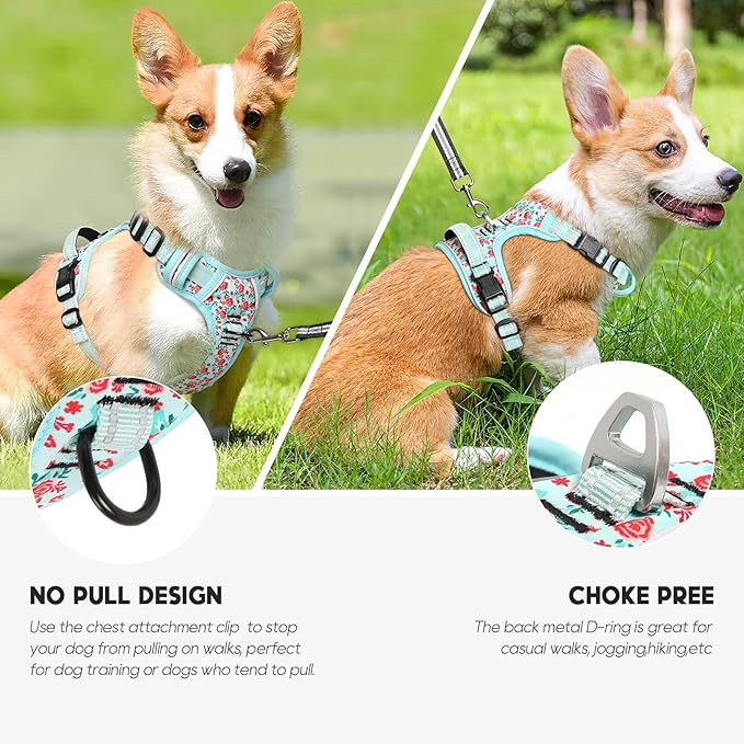 Timos Dog Harness,NO Need Go Over Dogs Head 3 Snap Buckles Pet Harness with 2 Leash Clips,Adjustable Soft Padded No-Pull,Reflective No-ChokeOxford Vest for Small Medium Large Dogs,X-Large(Packof1)