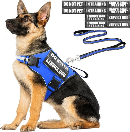 Service Dog Vest Harness and Leash Set+10 Patches,No Pull&Easy Walk Reflective Dog Harness with Soft Padded Handle for Training/Everyday,Fit Small/Medium/Large/Extra-Large Dogs (Blue XL)