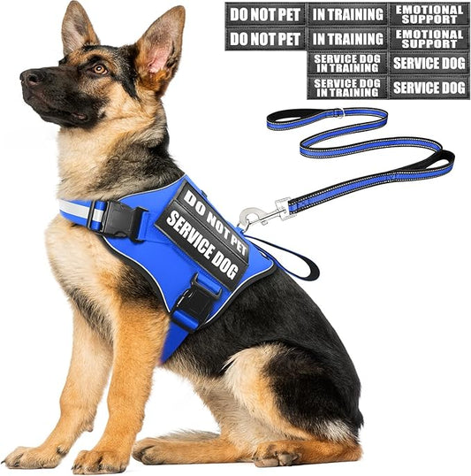 Service Dog Vest Harness and Leash Set+10 Patches,No Pull&Easy Walk Reflective Dog Harness with Soft Padded Handle for Training/Everyday,Fit Small/Medium/Large/Extra-Large Dogs (Blue XL)