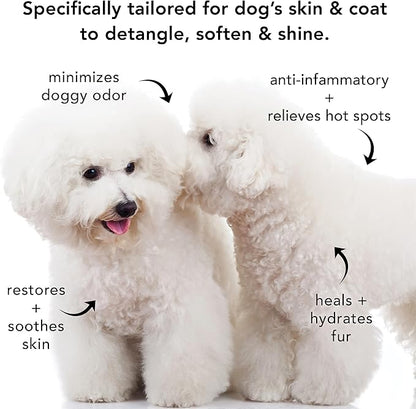 Pride and Groom The Non Shedder | Dog Grooming Shampoo for Doodles and Dogs That Do Not Shed | Tearless All Natural Body Wash with Coat-Specific Ingredients That Enhance Shine – 16oz