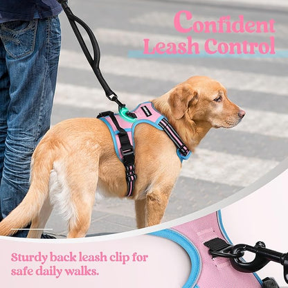 rabbitgoo Dog Harness No Pull with 2 Leash Clips, Adjustable Soft Padded, Reflective Oxford No Choke Pet Vest with Easy Control Handle for Medium Sized Dogs, Pink & Blue, M