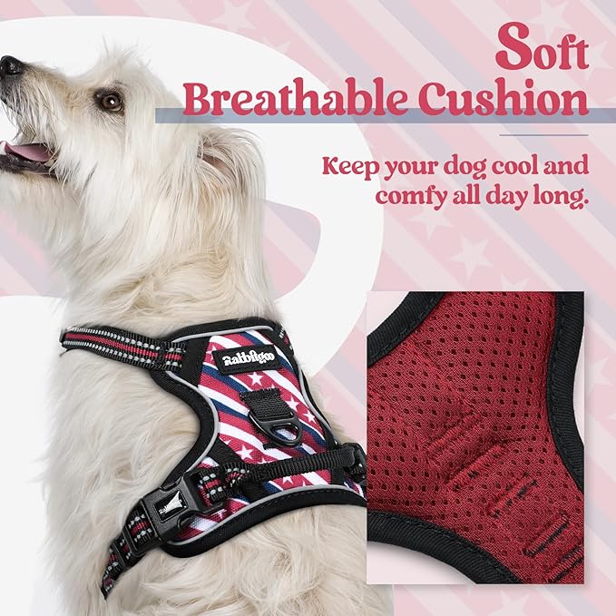 rabbitgoo Dog Harness No Pull with 2 Leash Clips, Adjustable Soft Padded, Reflective Oxford No Choke Pet Vest with Easy Control Handle for Large Dogs, Red Stripe, XS