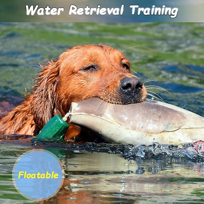 2 Pcs Duck Dummy Bumper Toys for Hunting Retriever Dog Training, Dog Retriever Outdoor Training Toy ，Hunting Duck Recognition Trainers, Foam Pet Interactive Toys
