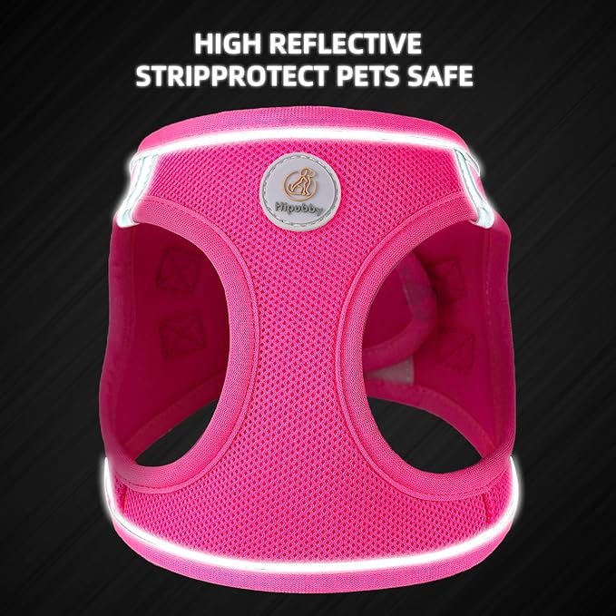 Dog Harness and Leash Set, No Pull Soft Mesh Puppy Harness for Small Medium Dogs, Cats - Step in Reflective Breathable Lightweight Vest Harness for Walking, Training - Rose Red, L