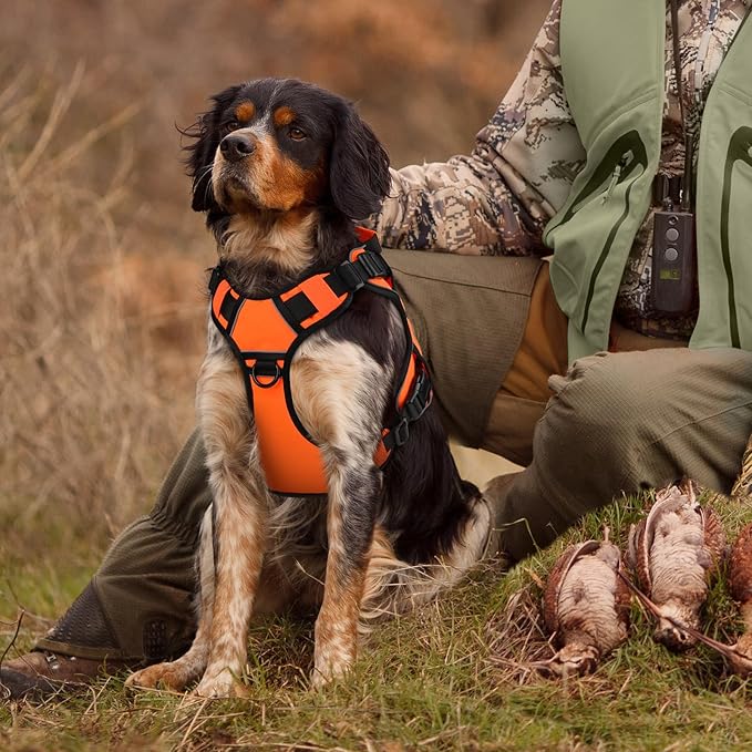 WINGOIN Tactical Dog Harness for Extra Large Dogs, Heavy Duty No Pull Dog Harness with Handle, Adjustable Reflective Military K9 Big Dog Vest for Great Dane, Walking, Training, Hunting, Orange (XXL)