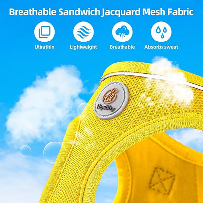 Dog Harness and Leash Set, No Pull Soft Mesh Puppy Harness for Small Medium Dogs, Cats - Step in Reflective Breathable Lightweight Vest Harness for Walking, Training - Yellow, XS
