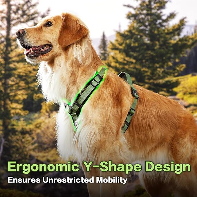 PawsPassion Dog Harness for Large Dogs, No Pull Dog Harness Easy Walk with Metal Hardware, Ergonomic Y-Shaped Design, Soft Padding, Padded Handle, Durable High-Tensile Nylon (Evergreen, L)