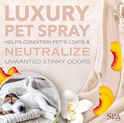 TropiClean SPA For Him Male Dog Cologne Spray Long Lasting | Sporty Scented Dog Deodorizing Spray | Naturally Derived Salon Grade Ingredients | Made in the USA | 8oz