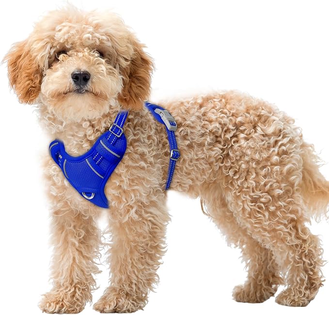 BARKBAY No Pull Dog Harness Large Reflective Dog Harness with Front Clip and Easy Control Handle for Walking Training Running with ID tag Pocket(Sapphire Blue,XS)