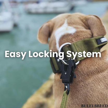BULLYBREED Premium Dog Colar with Handle, Heavy Duty Dog Collar, Tactical Dog Collar, Quick-Release Metal Buckle, Thick Dog Collar, Dog Collar for Medium Dogs, Dog Collar for Large Dogs (Black, M)