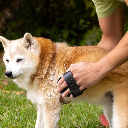 6-in-1 Moisturizing Dog Shampoo with Brush, Made with Naturally Derived Ingredients to Cleanse, Soothe, Deodorize, and Soften The Skin and Coat 480ml