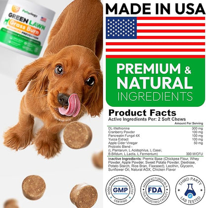 Dog Urine Neutralizer for Lawn - 170 Green Lawn Chews for Dogs - Pee Grass Burn Spot Saver Caused by Dog Urine with Probiotics & Digestive Enzymes - Advanced Gut Health Supplement, Rocks