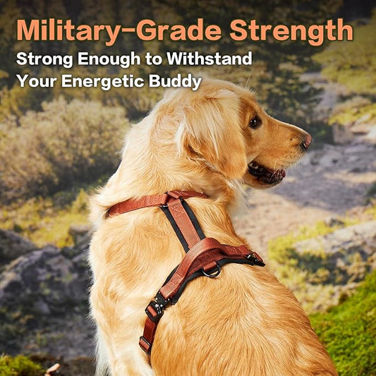 PawsPassion Dog Harness for Medium Dogs, No Pull Dog Harness Easy Walk with Metal Hardware, Ergonomic Y-Shaped Design, Soft Padding, Padded Handle, Durable High-Tensile Nylon (Canyon Red, M)