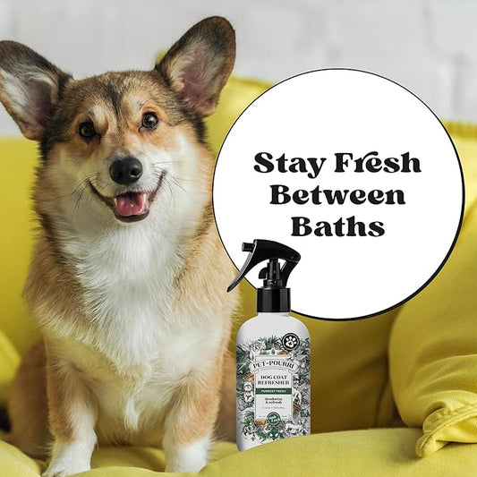 Pet-Pourri Dog Coat Deodorizing Spray – Plant Derived Ingredients – Vet Recommended – Fir + Amber + Cedarwood – Paraben & Sulfate-Free - Grooming perfume Spray for Dog Odor
