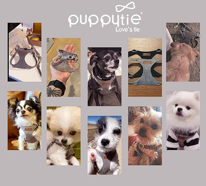 Puppytie No Pull xs Dog Harness with Multifunction Dog Leash,Soft Adjustable No Choke Escape Proof Pet Harness Vest,Silver Grey,XS