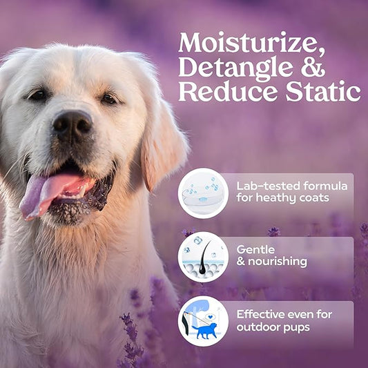 PAWFUME Dog Detangler Grooming Spray, Royal Lavender, 4-Pack – Keeps Pups Fresh All Day – Hypoallergenic, Alcohol-Free, Detangling & Moisturizing – Salon-Quality Dog Necessities for Coat & Fur Care