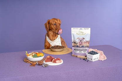 Superfood Complete, Air-Dried Adult Dog Food - High Protein, Zero Fillers, Superfood Nutrition by Katherine Heigl (24 oz., Lamb & Venison)
