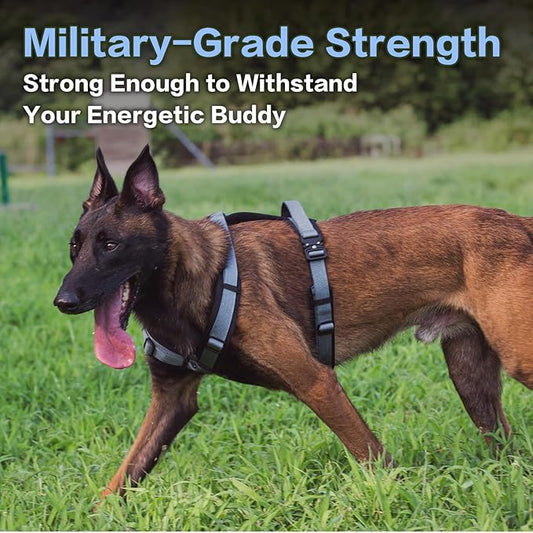 PawsPassion Dog Harness for Large Dogs, No Pull Dog Harness Easy Walk with Metal Hardware, Ergonomic Y-Shaped Design, Soft Padding, Padded Handle, Durable High-Tensile Nylon (Horizon, L)